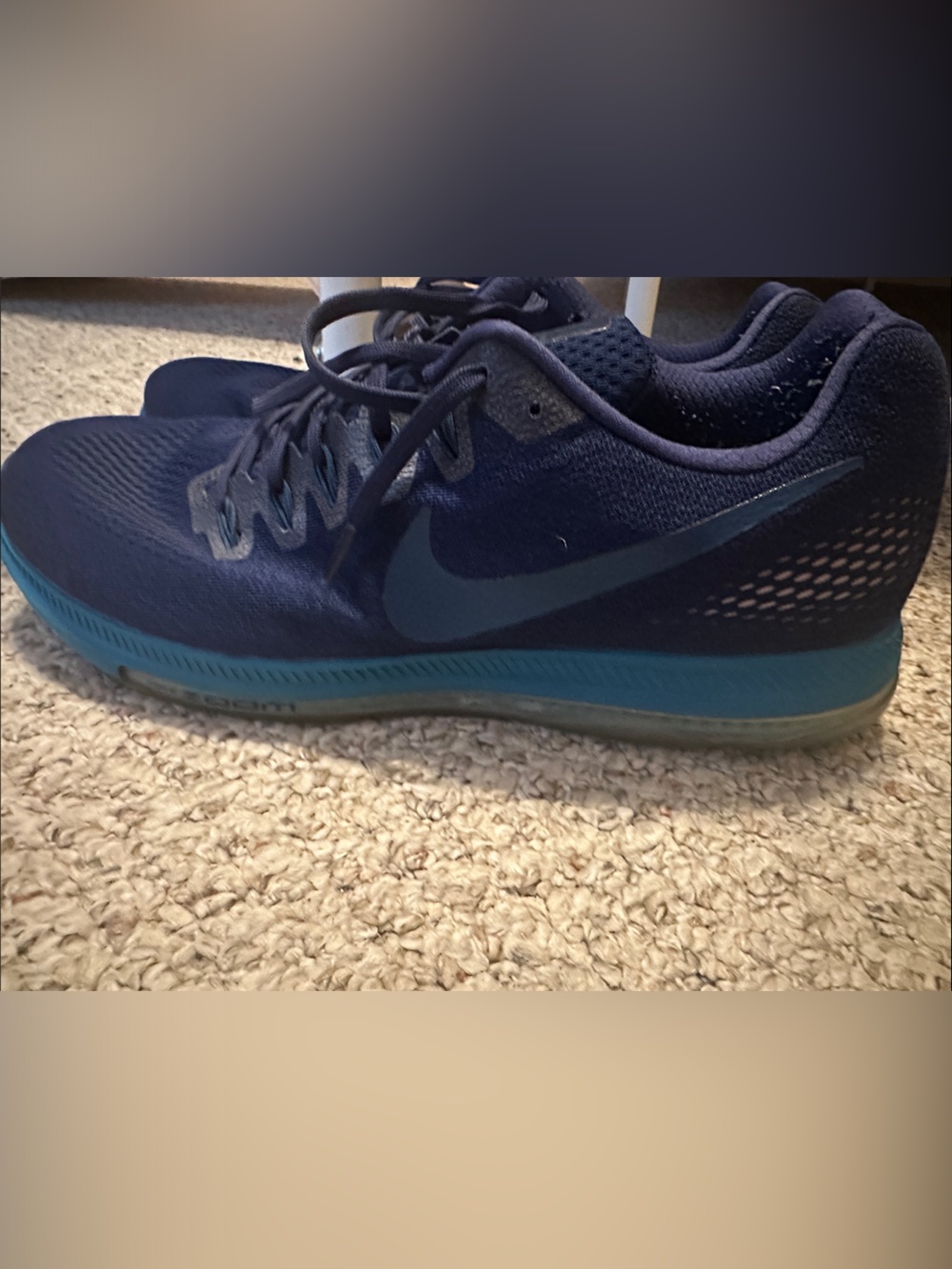 Nike Men's Navy and Teal Training Shoes